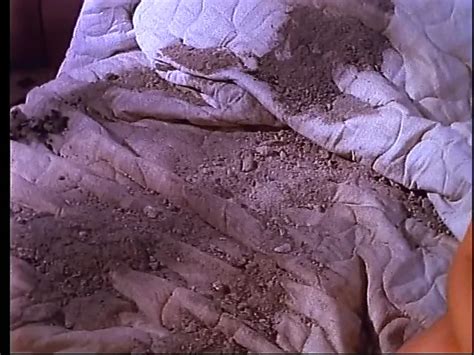 Night Trips Fantasy Threesome Porn Feat Tori Welles XHamster