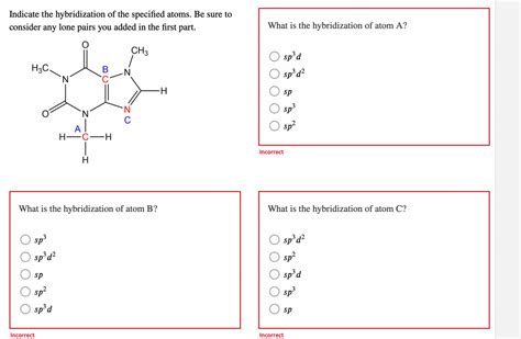 Answered Indicate The Hybridization Of The Bartleby