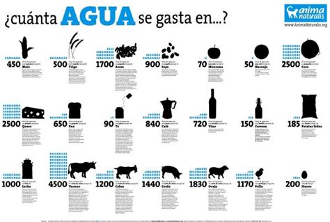 Qué es la HUELLA HÍDRICA Definición Tipos Ejemplos y Cómo Calcularla