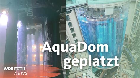 AquaDom Berlin Riesen Aquarium Geplatzt WDR Aktuell YouTube