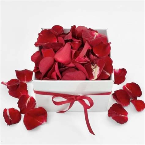 Fresh rose petals - Beautiful Blooms Boutique