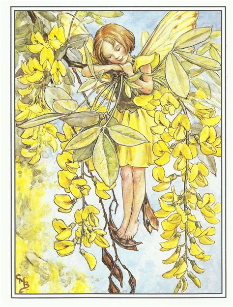 Laburnum Fairy Cicely Mary Barker Flower Fairies Vintage Print