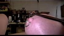 Wasp Sting Hd Sex Movies Sex Hentaixyz