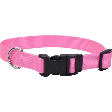 ADJUSTABLE DOG COLLAR W/ PLASTIC BUCKLE