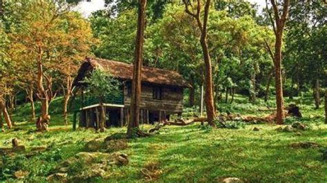 What Are The Different Types Of Forests In India