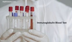 Immunoglobulin Blood Test Normal Range