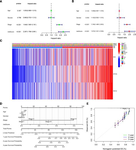 Frontiers Molecular Subtype Identification And Signature Construction