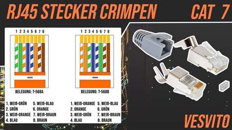 Stout Sterben Buchstabieren Lan Kabel Stecker Belegung St Rung