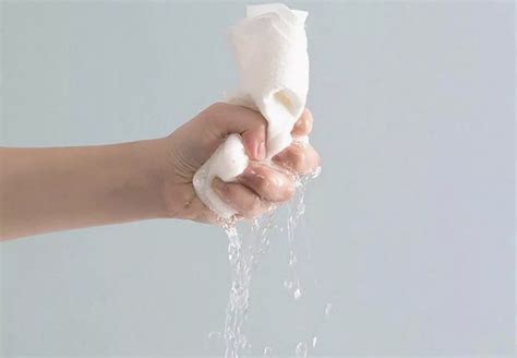 Most Absorbent Paper Towel Experiment At Gregory Boswell Blog