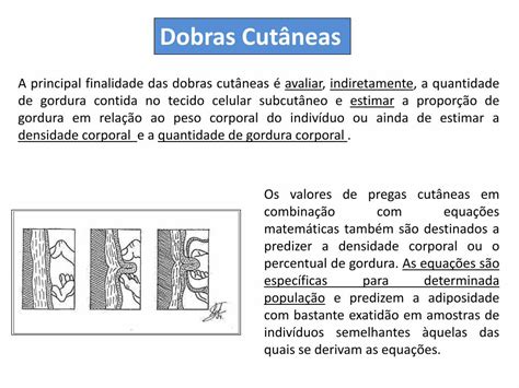 Pdf Aula Perimetria Dobras Cut Neas E Protocolos Perimetria Do