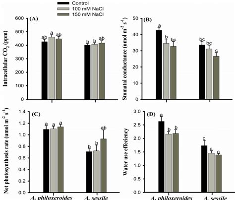 Intracellular CO2 A Stomatal Conductance B Net Photosynthesis