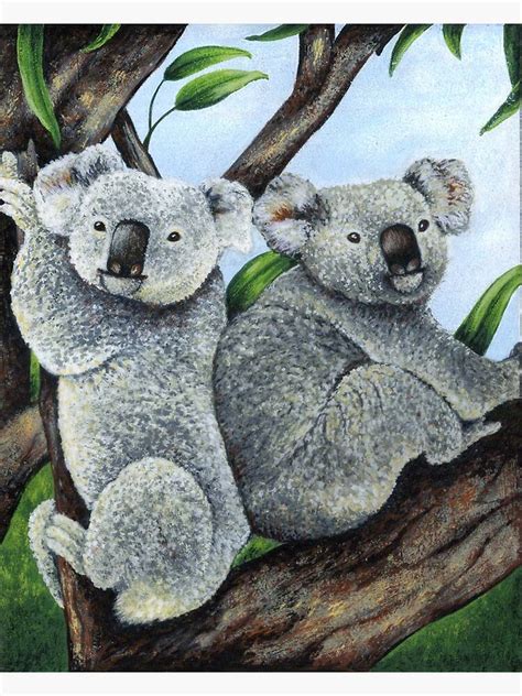 "Koala Bear Hugging Tree" Poster for Sale by Hanh-Gallery | Redbubble