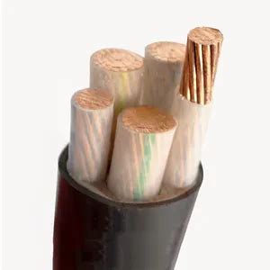 4c 10 Sq Mm Copper Armoured Cable Price Cu XLPE Swa PE 54 OFF