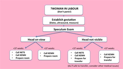 Obstetrics Orientation Resources Charlies Ed