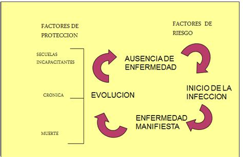 Historia Natural De La Enfermedad Mapa Conceptual Images