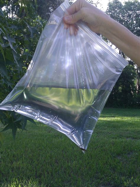 Accrochez un sac rempli d eau à votre porte d entrée pour éloigner les