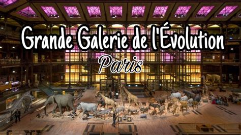 Grande Galerie de l Évolution Paris YouTube