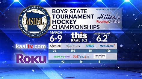 2024 MSHSL Boys Hockey Tournaments - ABC 6 News - kaaltv.com