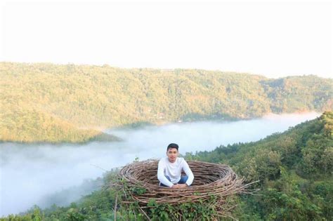 15 Tempat Wisata Di Hutan Pinus Mangunan Yogyakarta