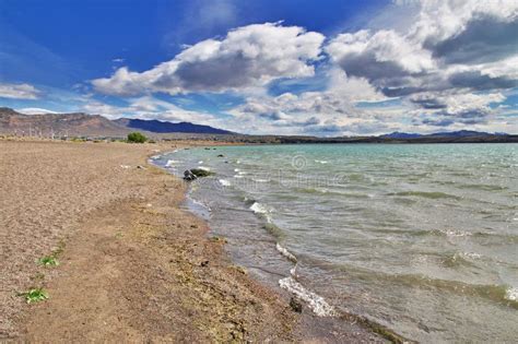 Lago Argentino Lake In Laguna Nimez Reserva El Calafate Patagonia