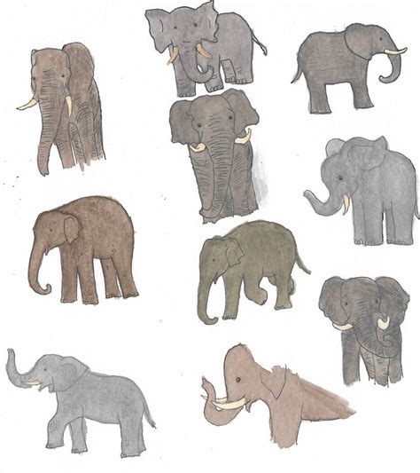 Elephants By Brazilianferalcat On Deviantart