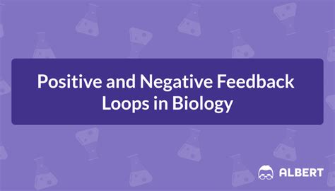 Positive and Negative Feedback Loops: Explanation and Examples