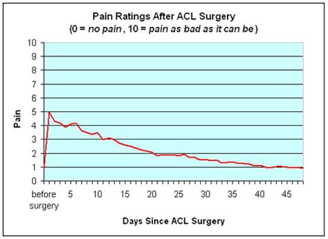 Conquering Acl Surgery And Rehabilitation