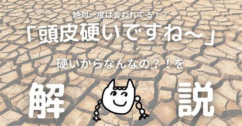 頭皮が硬いと一度でも言われ人は見るべきブログ 頭皮と髪と、時々ネコと。