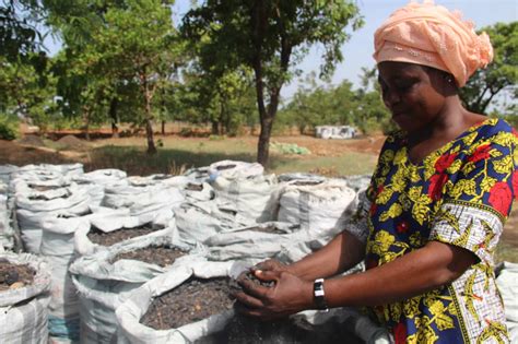 The Biochar Opportunity Enhancing Soil Fertility Mitigating Climate