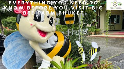 Big Bee Farm Phuket Big Bee Honey Farm In Phuket