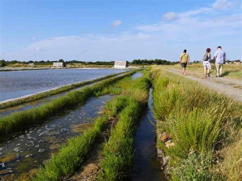 Les Marais De La Guitti Re Talmont Saint Hilaire Vend E