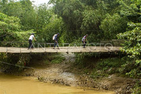 JEMBATAN GANTUNG ALTERNATIF ANTARWILAYAH ANTARA Foto