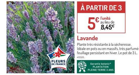 Promo Lavande Chez Botanic Icatalogue Fr