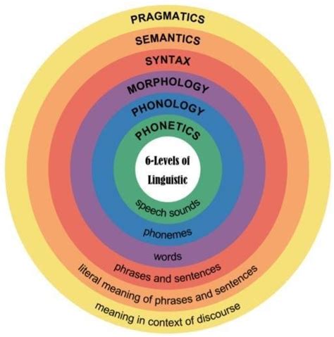 Levels Of Linguistic In Human Languages Considering The Complex Of