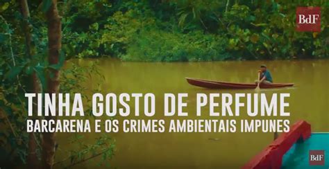 Documental denuncia crímenes ambientales graves en la Amazonia