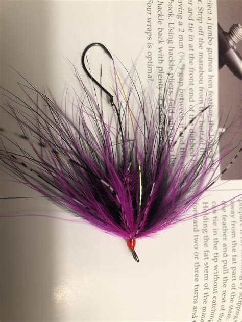 Hoh Bo Spey Fuchsia Steelhead Flies Fly Tying Patterns Salmon Flies