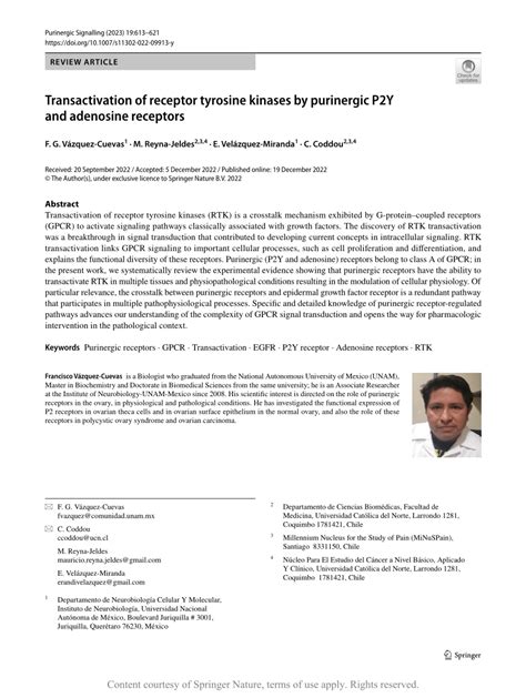 Transactivation Of Receptor Tyrosine Kinases By Purinergic P2Y And