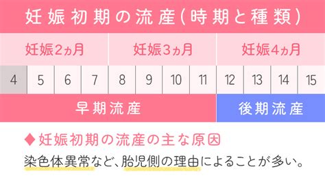 妊娠初期の流産しやすい行動とは？確率や兆候について【公式】エマ婦人科クリニック名古屋栄