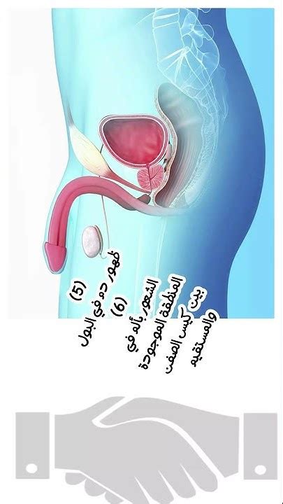 اعراض البروستاتا عند الرجال تعرف على 9 علامات تحذيرية تكشف إصابتك