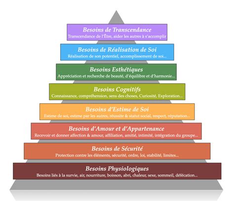 La Pyramide De Maslow Les Niveaux Et Besoins Psychologiques