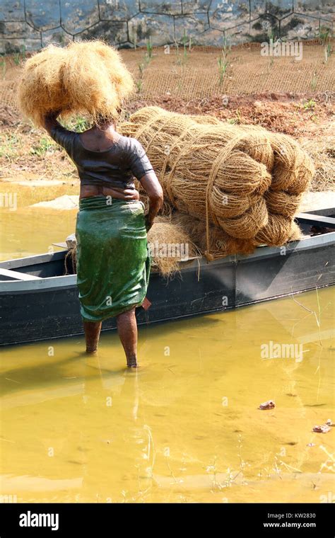 Craft Of Life Stock Photo Alamy