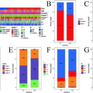 Clinical Significance Of Prognostic Risk Characteristics A Heat Map