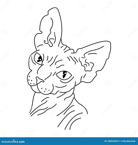 Portrait Of A Sphynx Cat Drawn In The Style Of Minimalism Design