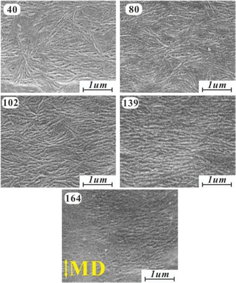 The Crystallization And Mechanical Properties Of Poly 4 Methyl 1