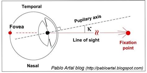 Pablo Artal Blog On The Definition Of Angle Kappa