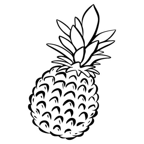 Premium Vector Pineapple Fruits Vector Illustration