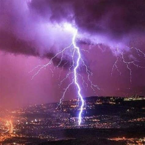 Bft Free Gay Asian Bear Porn Video XHamster