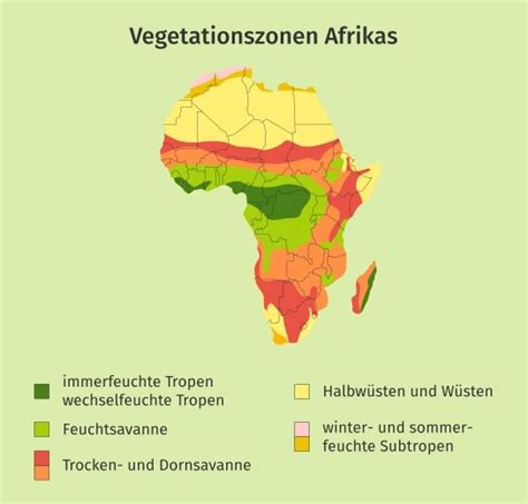 Vegetationszonene Afrika Definition And Zusammenfassung Easy Schule