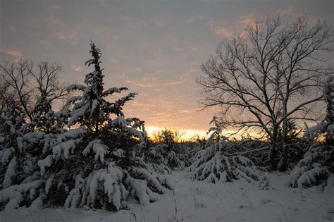 Celebrating the solstice: Winter scenes in Nebraska | Nebraska News ...