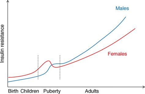 Sex Differences In The Burden Of Type 2 Diabetes And Cardiovascular Risk Across The Life Course
